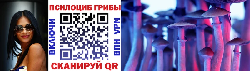 Купить Теберда Псилоцибиновые грибы Psilocybe