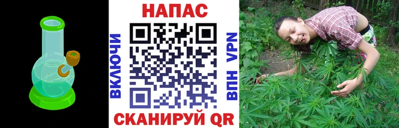 Каннабис семена Купить Теберда